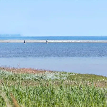 8993-orsted-hejrevej-31 度假居 Ørsted