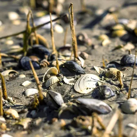 8993-orsted-hejrevej-31